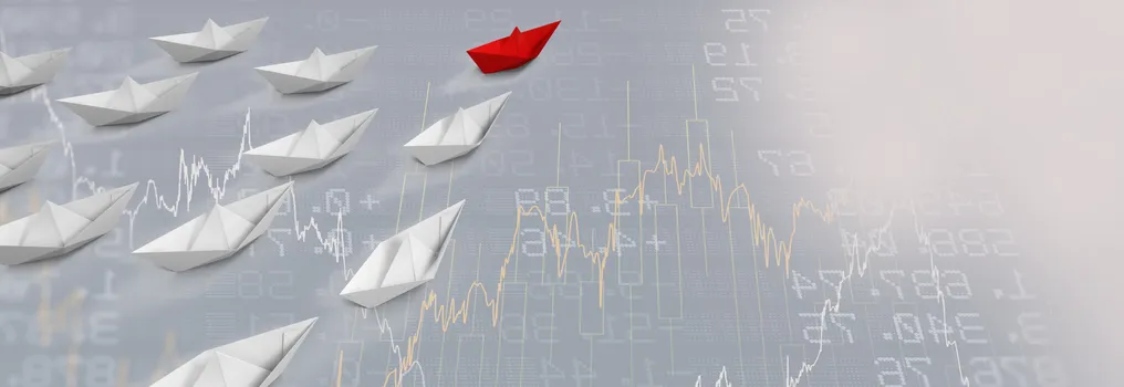 Interest Rate Whiplash