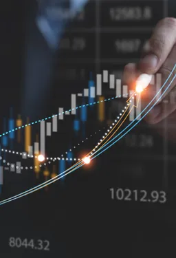 Weekly market report: November 12, 2024